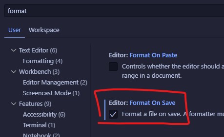 format on save